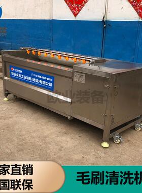 不锈钢猫叔清洗机 土豆去泥去皮清洗机 马蹄毛辊清洗机