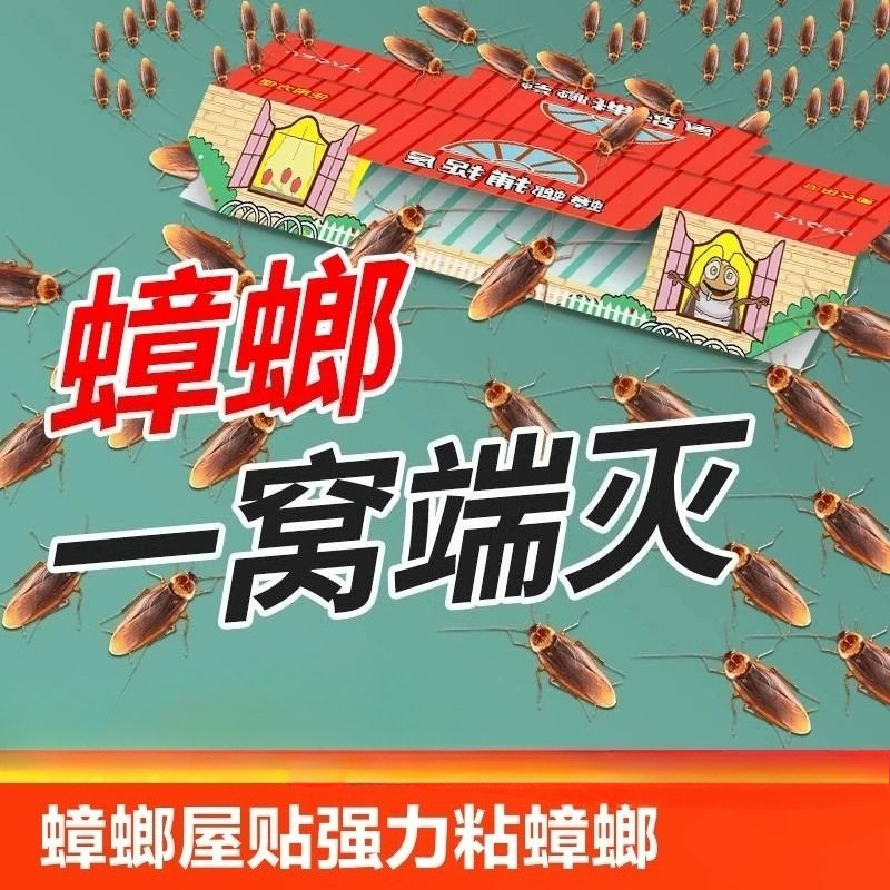 蟑螂屋⭐物理灭蟑一窝端