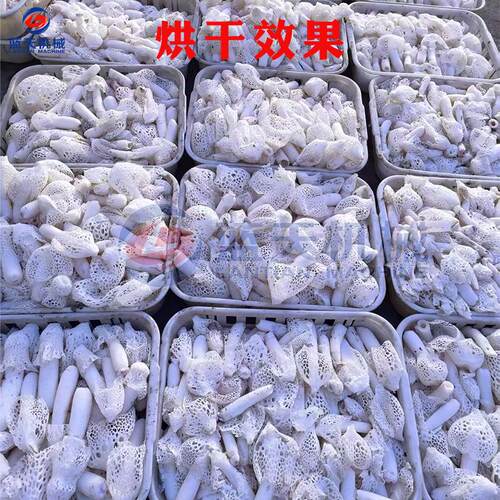 竹烘干机空气能竹参竹笙RRY食用生菌除设荪湿烘干野备竹荪菇烘干