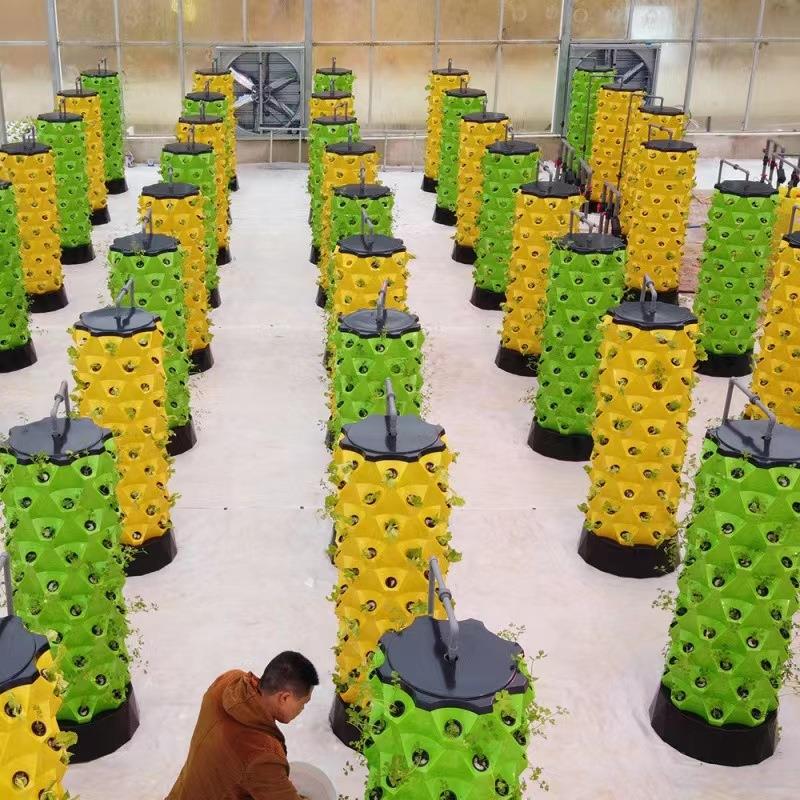 菠萝塔棚土培霧培设施水JJS果栽蔬无菜大气雾栽培模式系统立体种