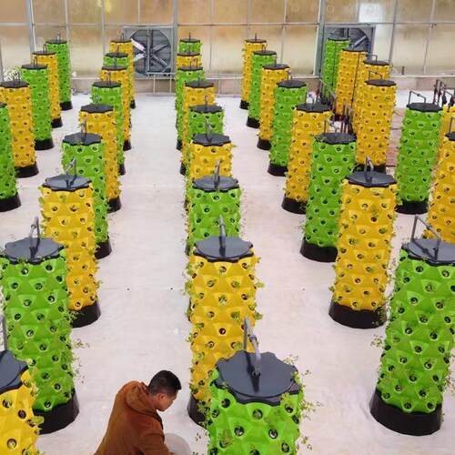 菠萝塔棚土培霧培设施水JJS果栽蔬无菜大气雾栽培模式系统立体种