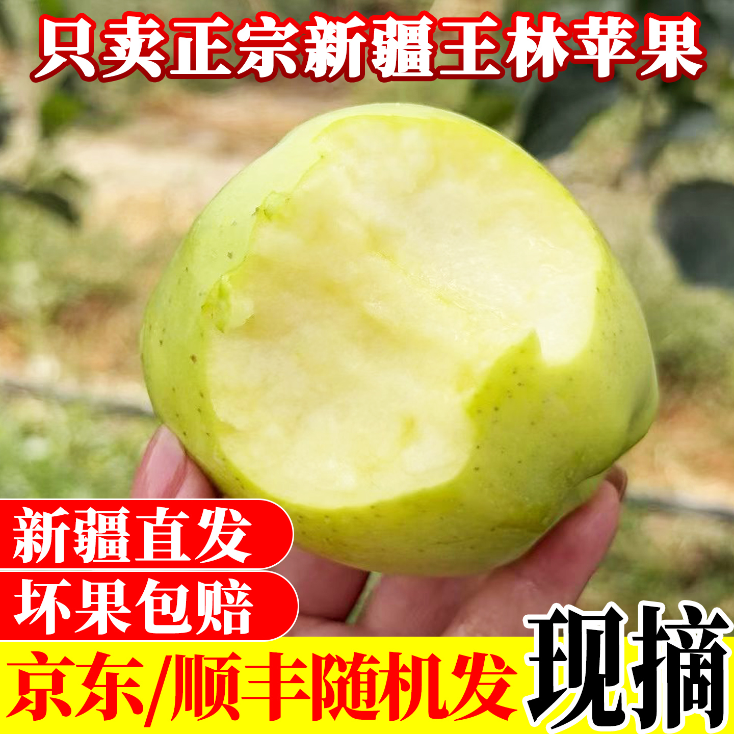 产地直发新疆正宗王林苹果水果