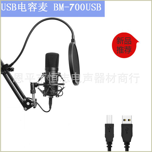 192KHz 24Bit高采样率电脑USB麦克风bm700麦克风套装话筒BM-800