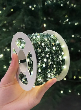 圣诞节树绿铜丝线jled小彩灯串灯满天星星户外防水氛围灯带装饰品