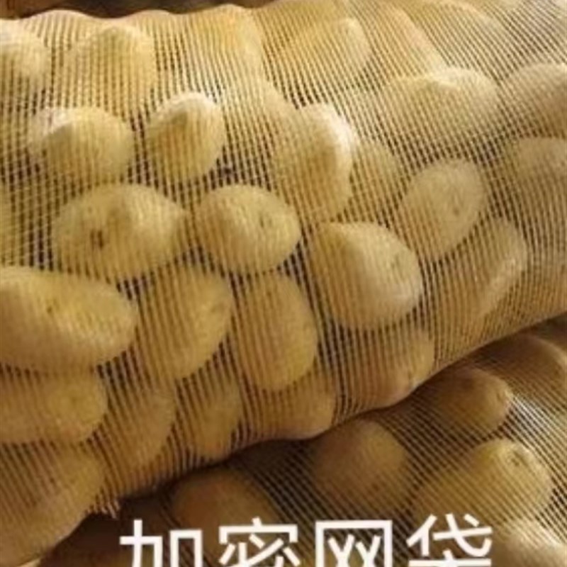 网袋装柚子橘子橙子加密网眼编织袋玉米土豆鸡鸭W水果网兜网袋