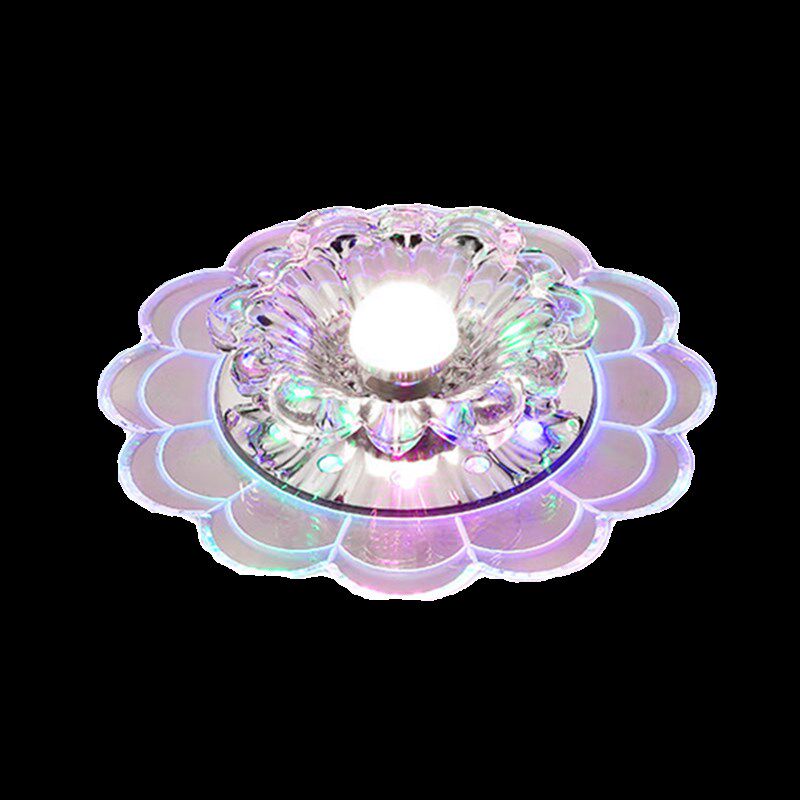 2024年c新款灯花瓣过道灯走廊壁灯网红中山灯具大全玄关灯筒灯顶