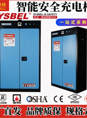 西斯贝尔工业实验室WA810454智能安全蓄电池充电危险品储存安全柜