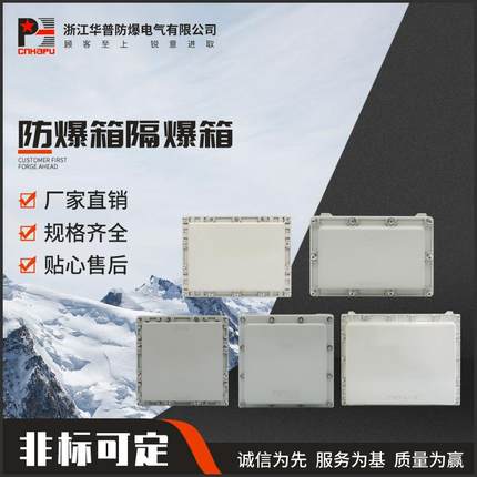 135x135x90防爆箱BDM-（T）增安箱防爆接线配电箱正压柜增安箱