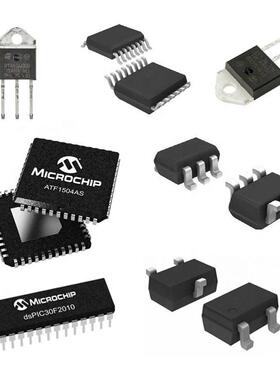 DLP4500NIRFQD数字微镜器件（DMD），驱动器