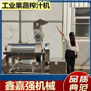 芹菜果蔬面大型榨汁机茶叶枸杞菊花工业压汁机芒果毛桃去核压榨机