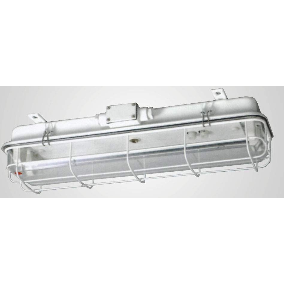 船用防水荧光舱顶灯JCY43-2EF双管2X40W (791877 791867 791887
