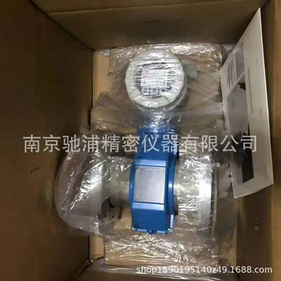 PROMAG10分体式电磁流量计10P1F-ECGA1AG2A4AA220vdcvdc