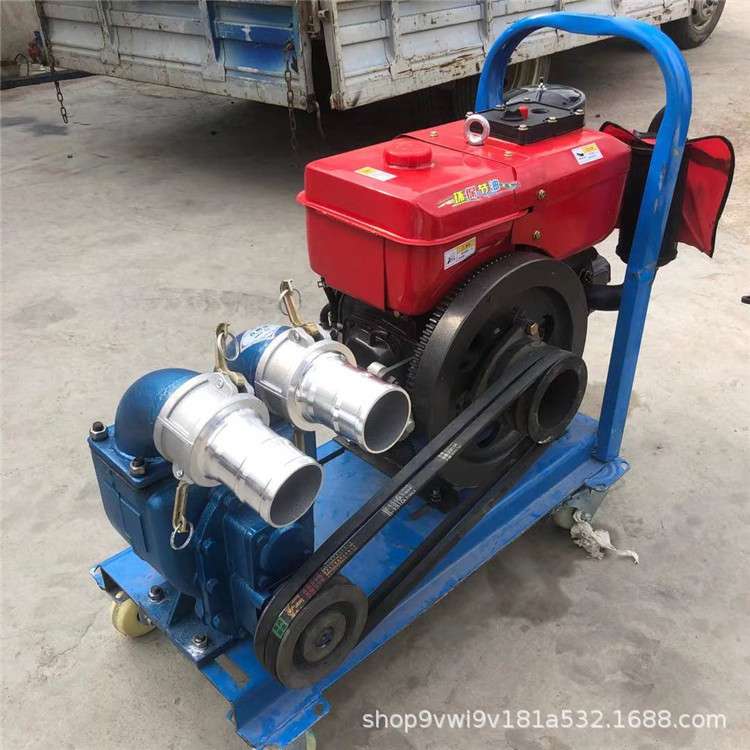 小型4寸抽粪泵 养殖场抽粪抽污水 高压抽水泵 大吸力无堵塞水泵