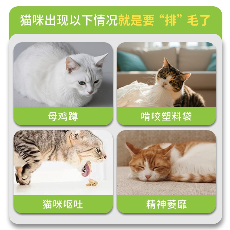 云杉鱼油排毛粉化毛猫草片化毛膏猫咪助I排毛球猫咪益生菌呵护肠