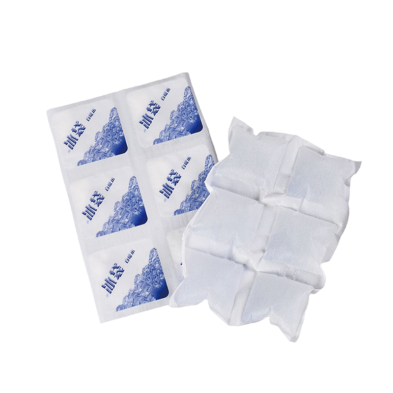 免注水自吸式冰袋快递冷冻水果海鲜航空摆摊R保鲜包重复使用商