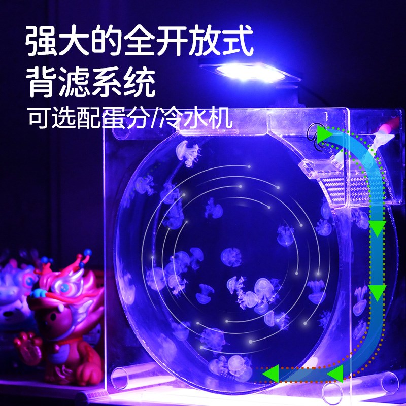 家庭水母a饲养缸水母缸桌面展示缸水族生态鱼缸赤月海月摆摊养殖