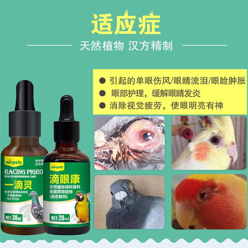 一滴灵眼流泪肿胀鹦鹉眼病单w眼伤风闭眼玄风虎皮信鸽赛鸽眼药水