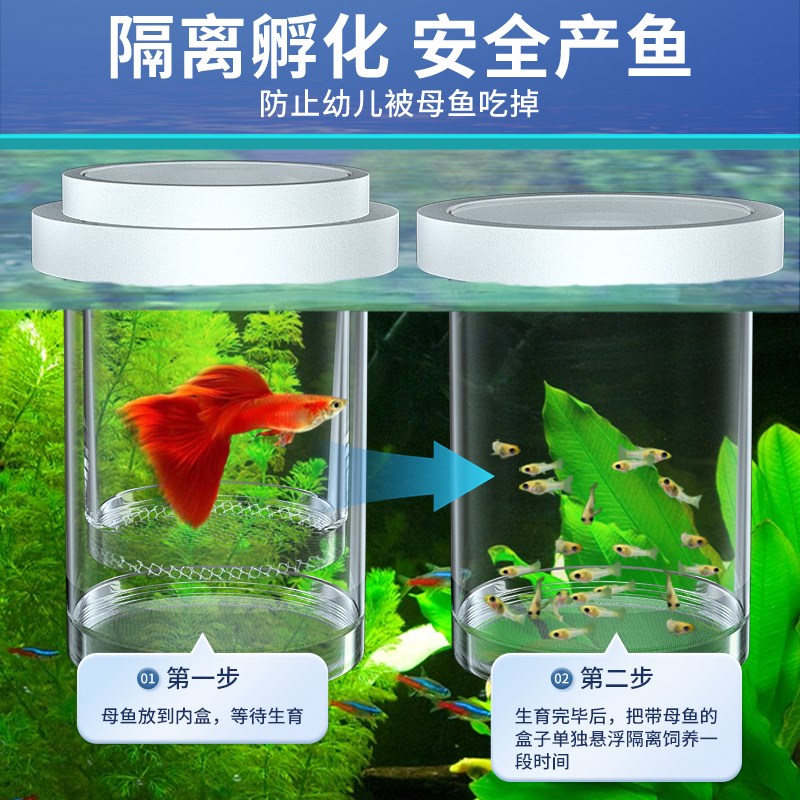 孔雀鱼繁殖盒鱼缸小鱼小型鹦鹉浴缸内G隔离笼斗鱼隔离网悬浮孵化