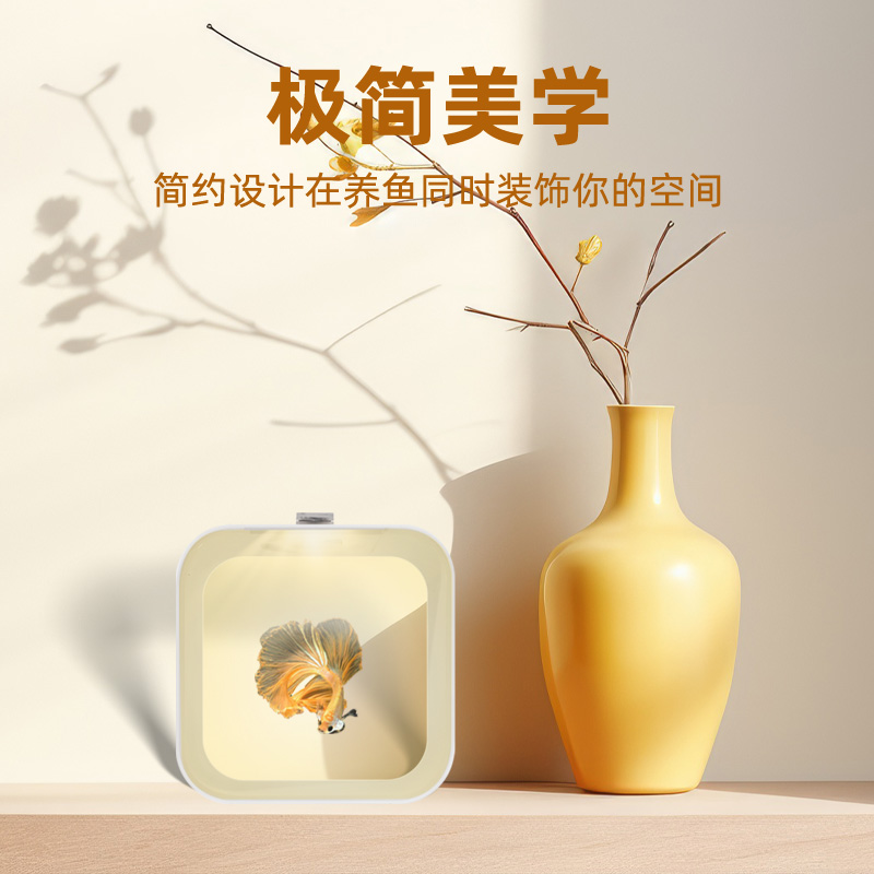 方形圆角泰国斗鱼缸桌面生态缸微景观办公M迷你展示缸观赏鱼创意