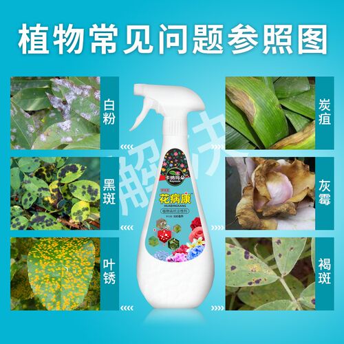卡纳玛朵花病康i喷雾植物高抗活性剂花卉绿植多肉灰霉叶斑黑斑白