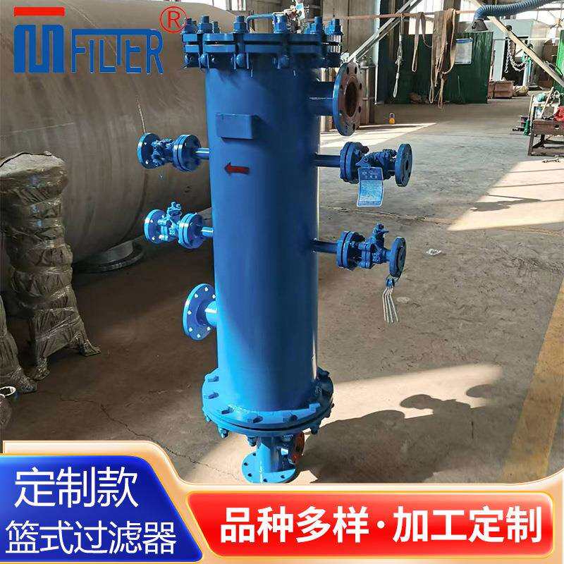 篮式毛发收集器生产厂家 楔形网滤芯 反冲洗易清洁