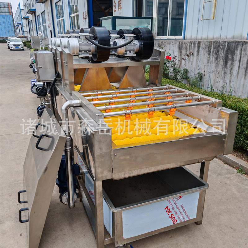 水果沃柑柠檬打蜡机选果机甜橙清洗抛光保鲜机蜜柚打蜡清洗机
