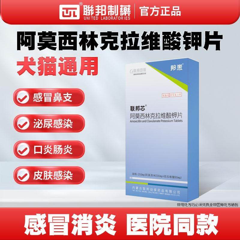 联邦速诺同成分猫咪狗狗消炎药阿莫西林克拉维钾片宠物感冒猫鼻支,宠物/宠物食品及用品,狗皮肤病药品,淘宝优惠券,粉丝福利购,淘宝优惠卷