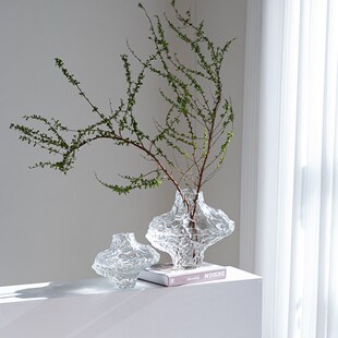 创意花瓶轻奢高级感异形玻璃透明客厅水养插花雪柳腊梅设计感摆件