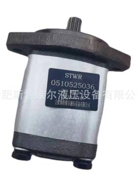 KP1/8G10AK0A4NL2克拉克高压齿轮泵