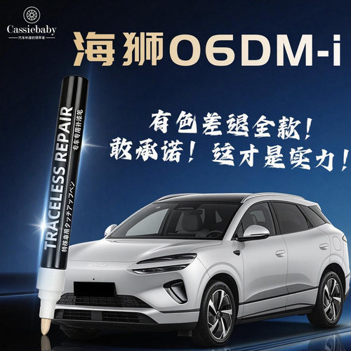 【海狮06DMi】4S店专用补漆笔