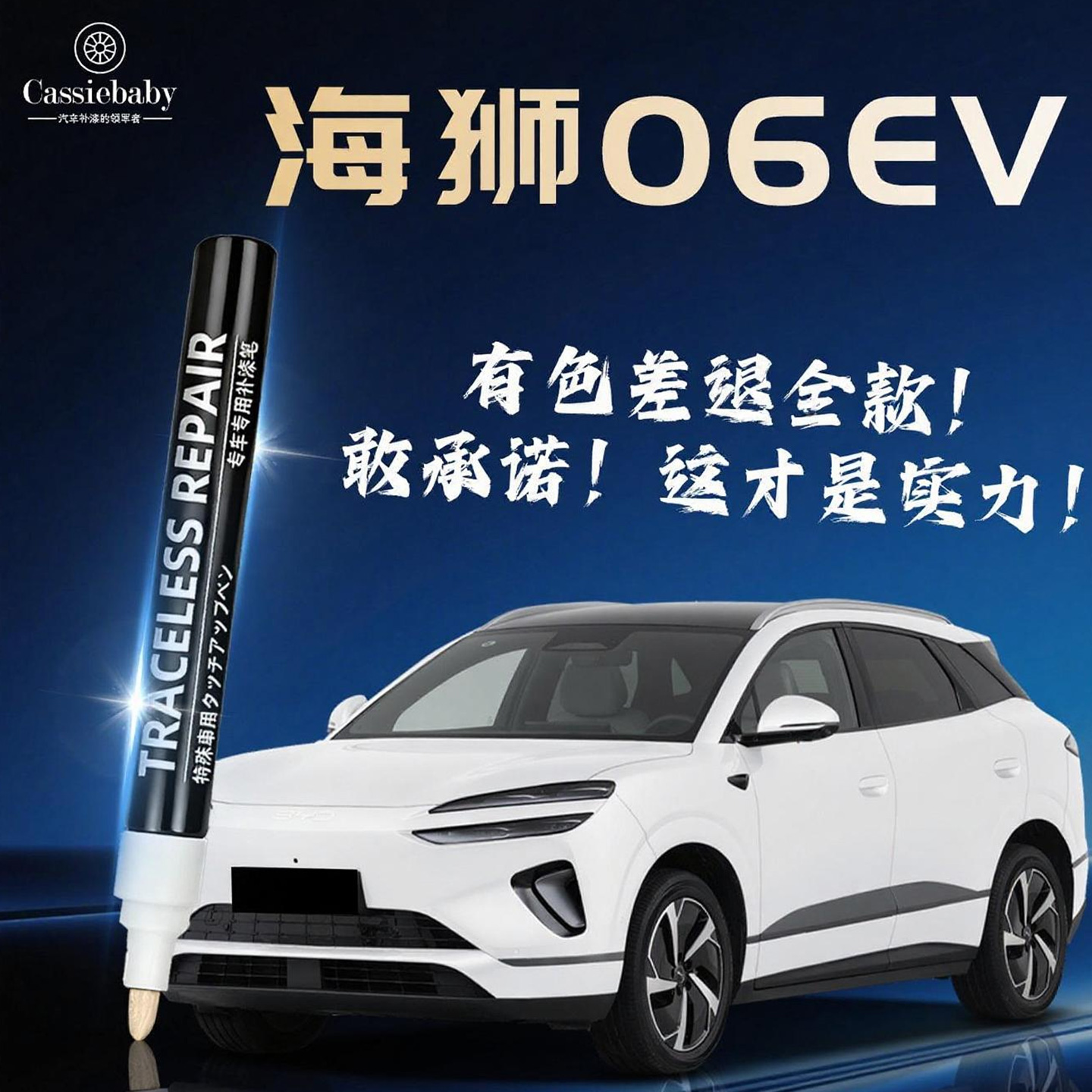 【海狮06EV】4S店专用补漆笔