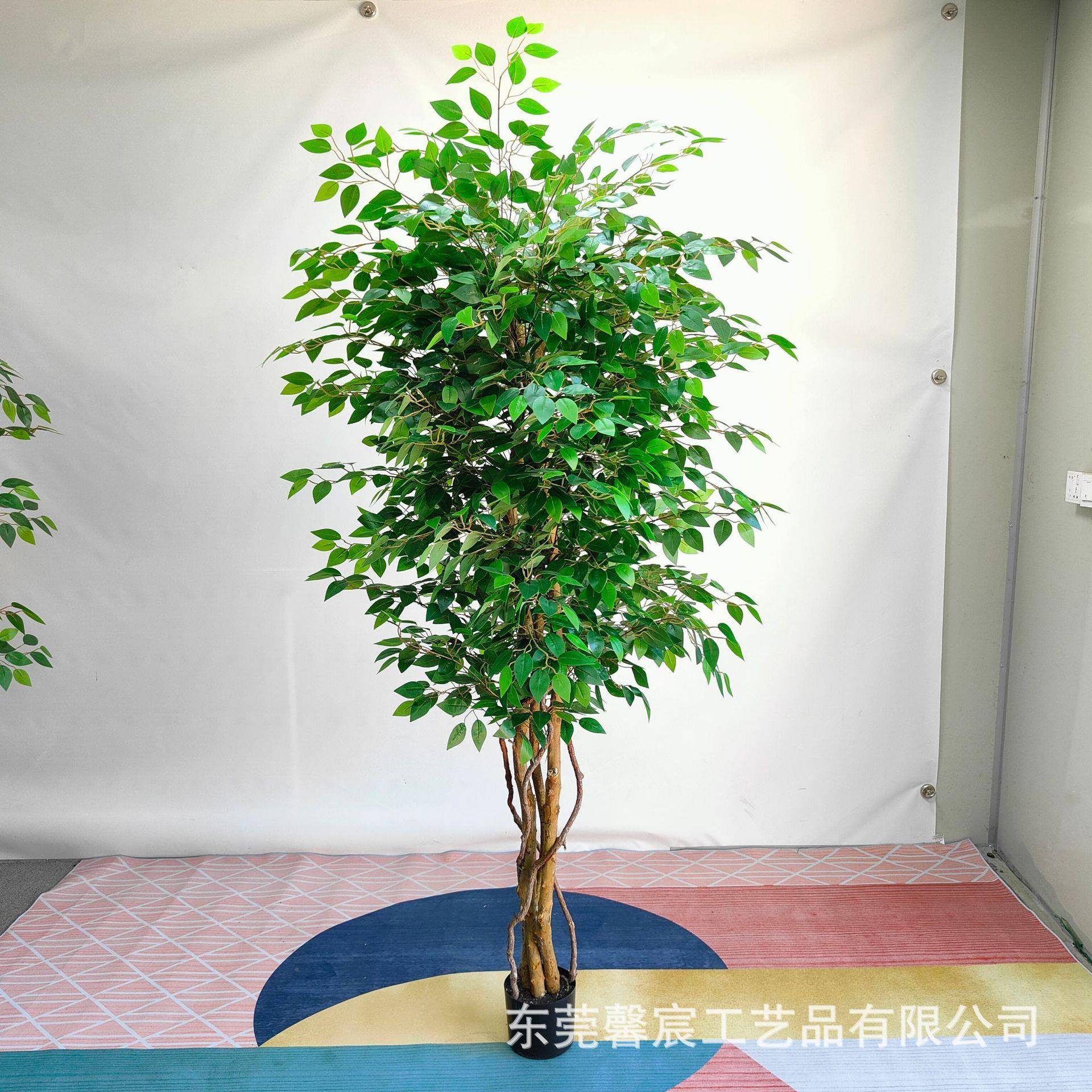 仿仿真榕树盆真木杆迷你榕树栽小叶榕真绿仿xc5521真植树室内装饰