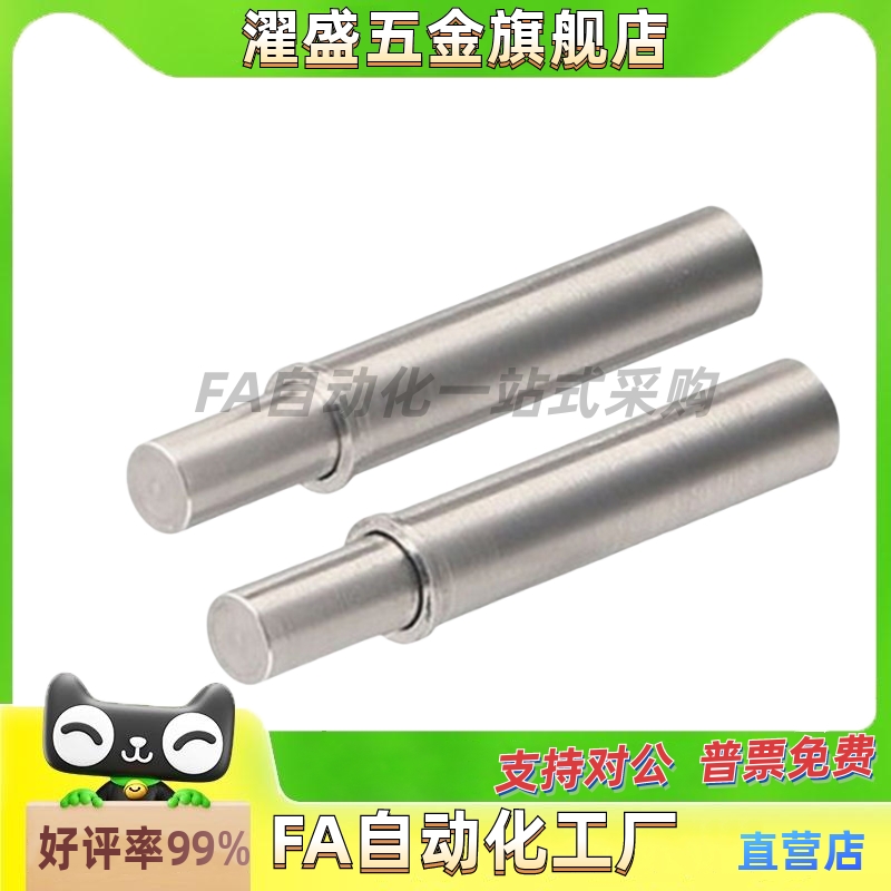 小径弹簧柱塞定位柱ZAS01/02-D1