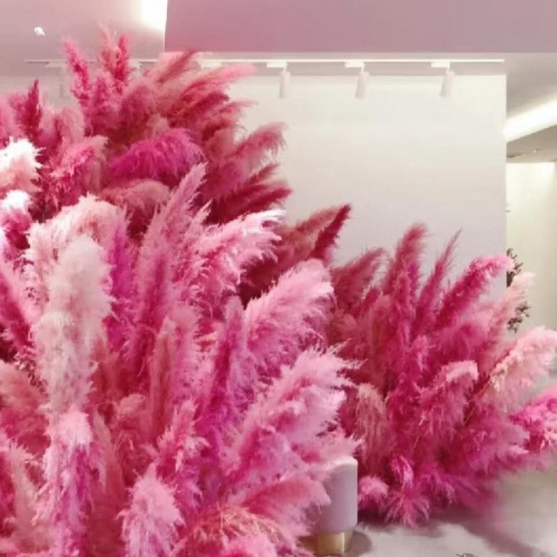 网红芦苇干花束婚庆橱窗装饰
