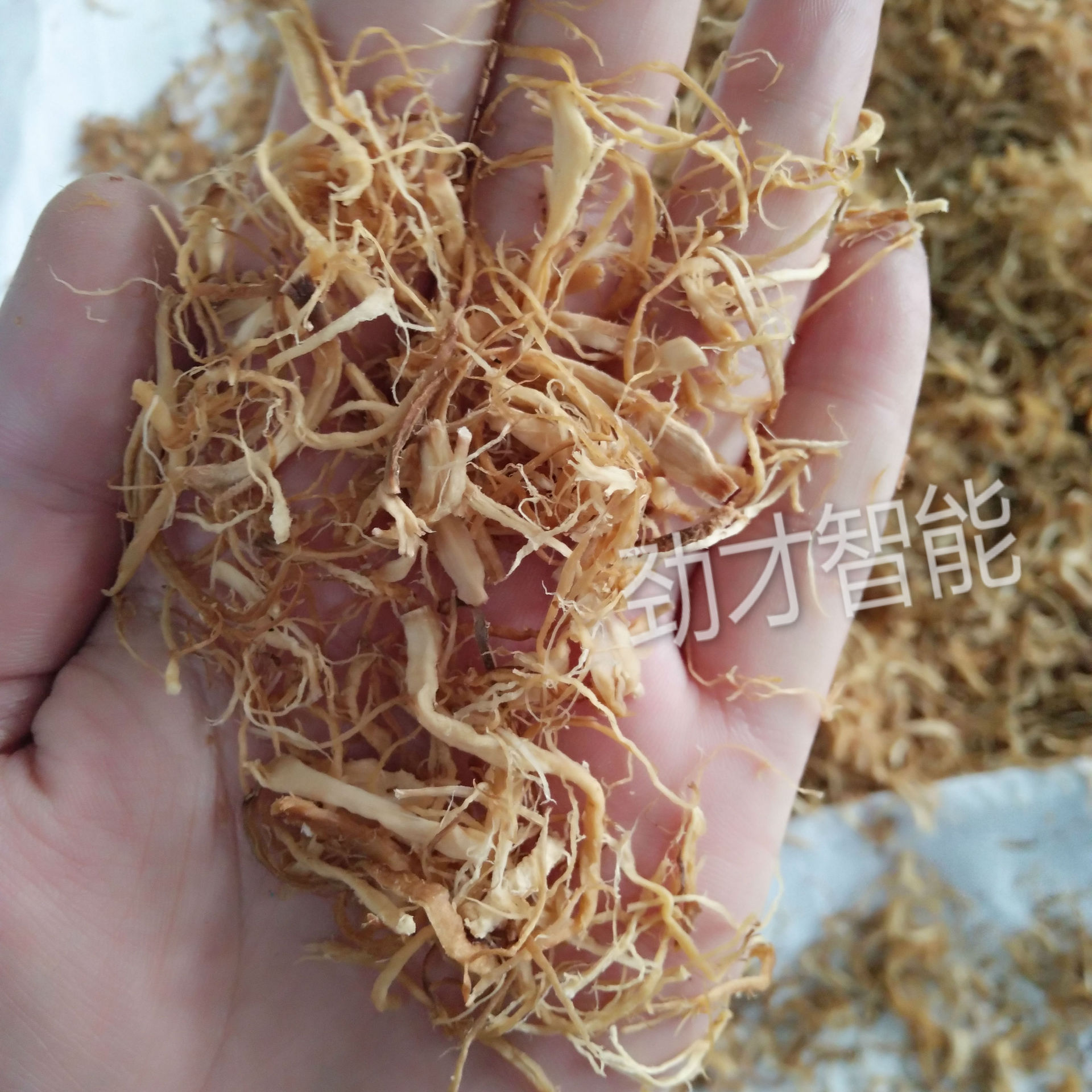 香菇丝茸 香菇腿打松拉丝机JC-CSJ