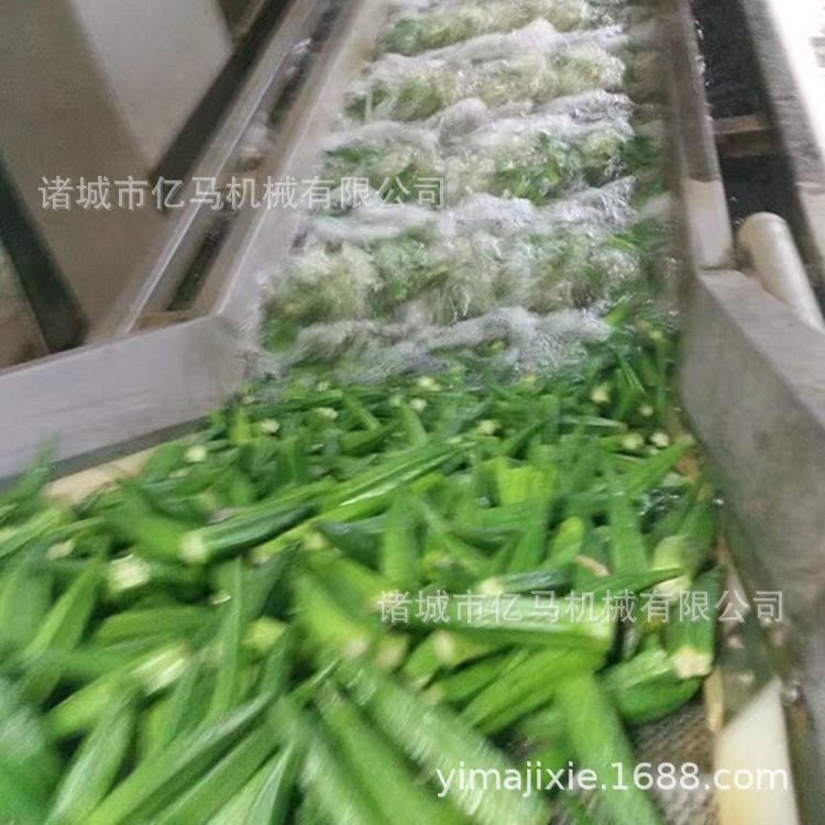 学校食堂用果蔬气泡清洗机