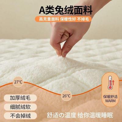 A类兔绒床垫加床榻垫褥垫铺厚地季OYJ学生宿舍绒垫榻米出租屋冬保