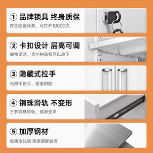 dh@通双节皮文柜办公室资料档件案凭证储物ASF柜家用铁储柜工存具