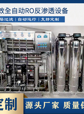 厂家供应  反渗透水处理设备edi超纯水设备反渗透设备反渗透机组