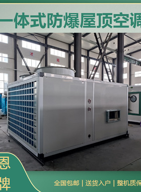 同恩风冷直膨式防爆恒温恒湿空调机组 BZKT-130Ex卧式吊装空调机