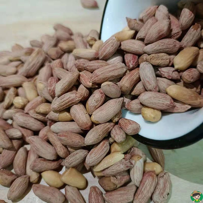 小瘪子花生米炒熟农家特产精品小粒新瘪干粒小花生咸味瘪果仁熟食
