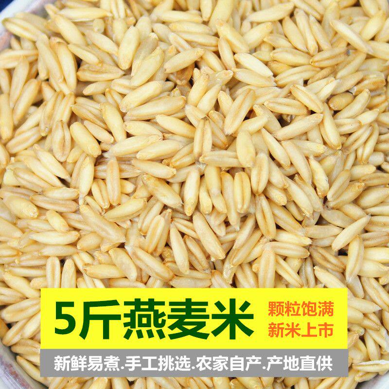 燕麦米新米农家燕麦仁新鲜燕麦米五谷杂粮粗粮麦香浓郁颗粒饱满