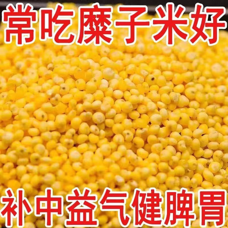 新货高品质】陕北糜子米5装硬大黄米新稷子米正宗稷米新鲜黄小米
