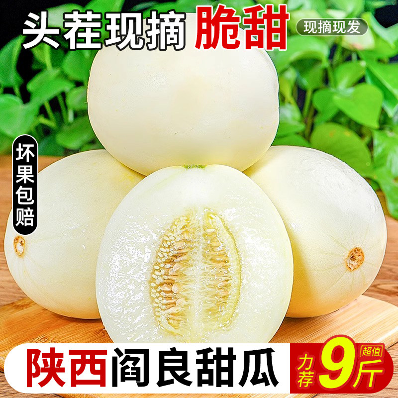 正宗陕西阎良甜瓜9斤新鲜水果当季现摘脆甜蜜瓜白瓜羊角香瓜整箱5