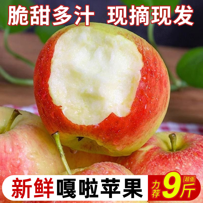正宗嘎啦苹果9斤新鲜水果