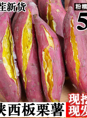 现挖陕西临潼板栗红薯蜜薯沙地新鲜番薯农家自种小香薯甜山芋地瓜