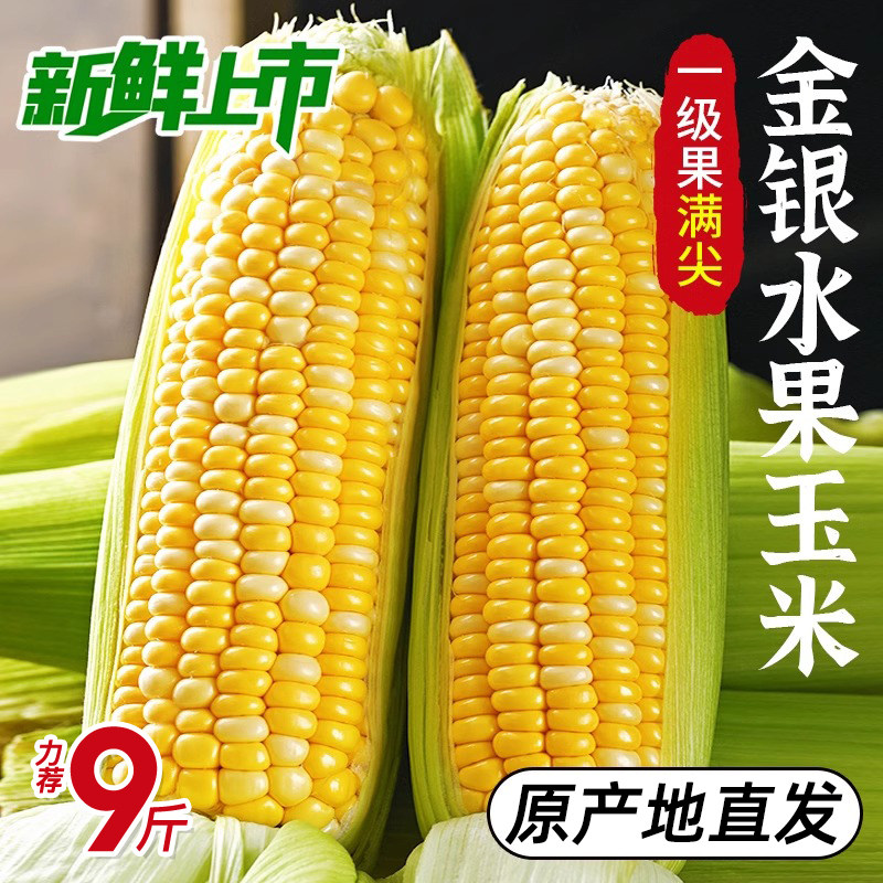 1�� ���Ͻ���ˮ����������