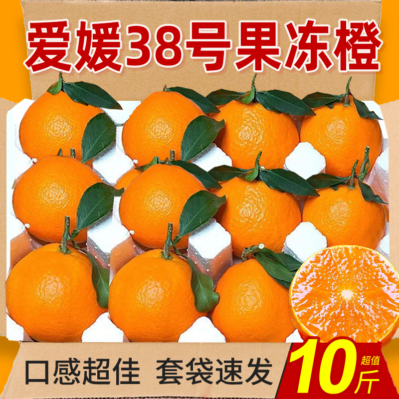 爱媛38号果冻橙力荐9斤包邮