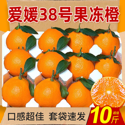 爱媛38号果冻橙力荐9斤包邮