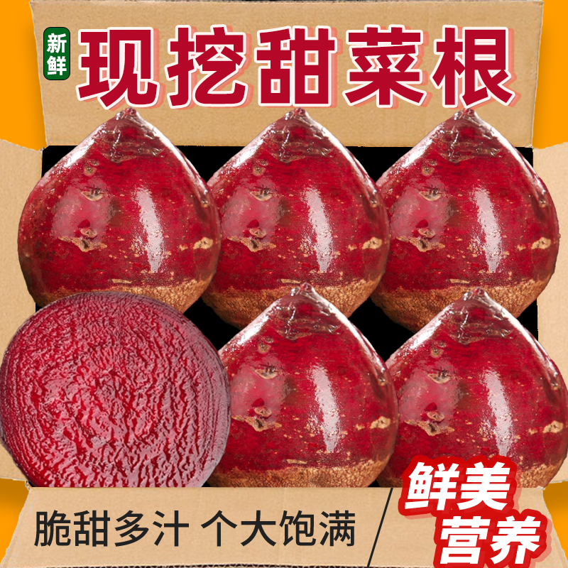 正宗甜菜根现挖甜菜头红菜头